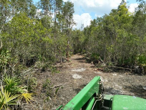 Broxton Tractor Services (Tractor Service & Bush Hogging)