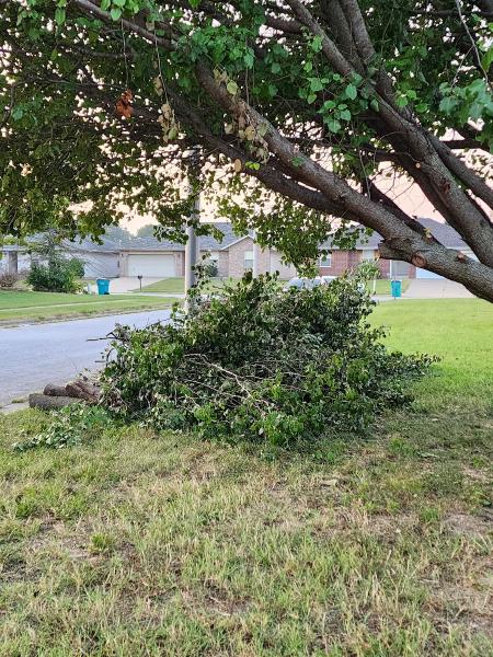 First Call Tree Service LLC
