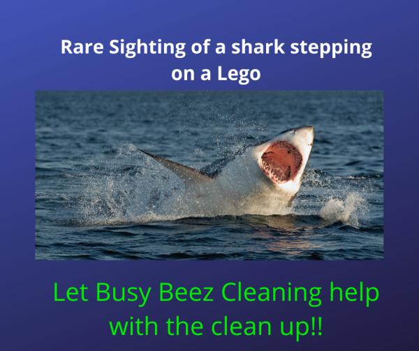 Busy Beez Cleaning