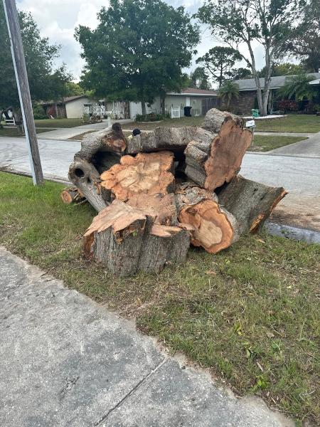 A Low Cost Tree Service