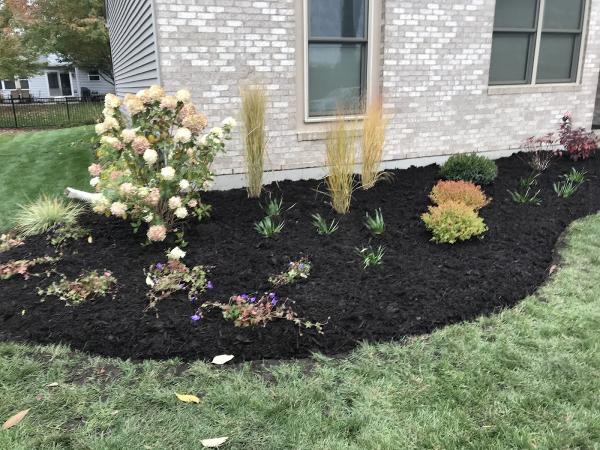 Root Designs: Landscape Design