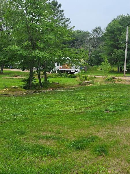 JW Ballard Tree Service and Excavation