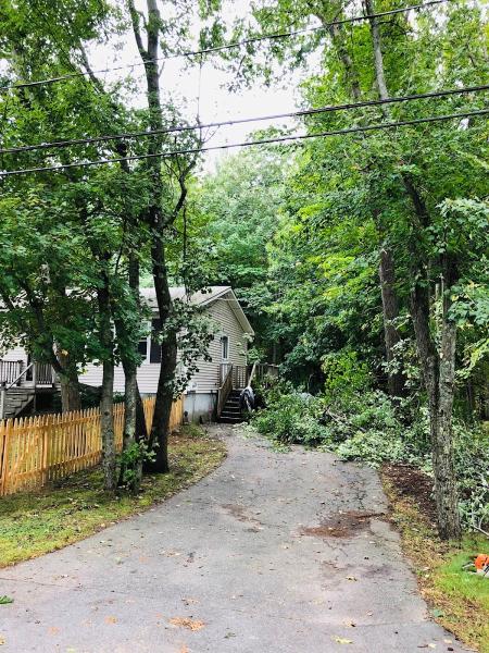 JW Ballard Tree Service and Excavation