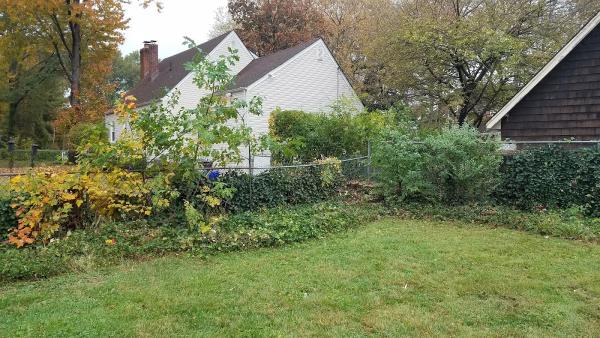 American Tree Experts Inc