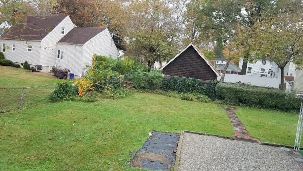 American Tree Experts Inc