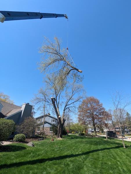 Big Iron Tree Works