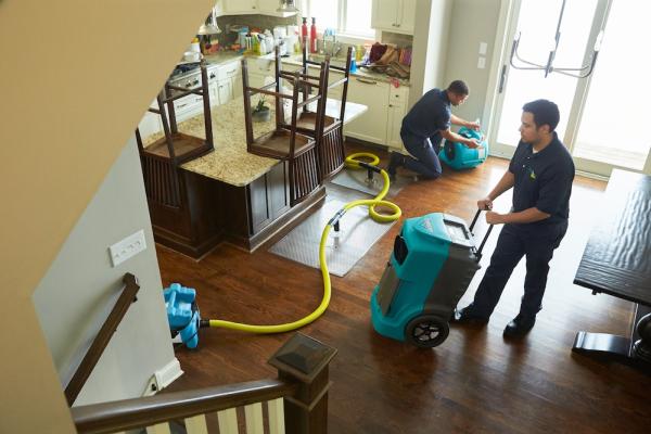 Servicemaster Professional Restoration