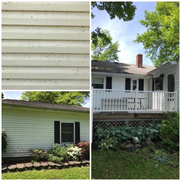 Fernandez Painting & Pressure Washing