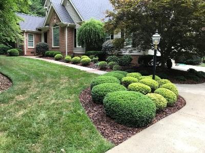 Eno Lawn Care