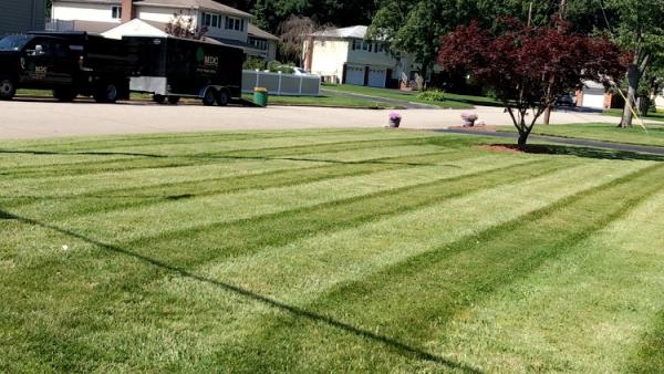 MDC Landscaping LLC