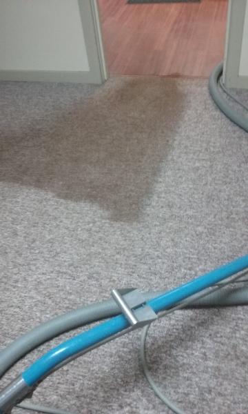 Gagliardi Carpet Cleaning Sellersville