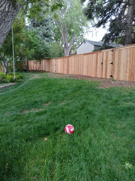 Cavaes Fencing & Outdoor Services