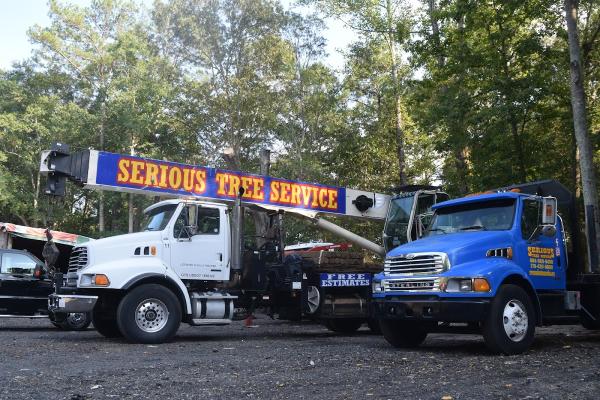 Serious Tree Services