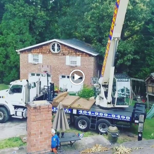 Serious Tree Services
