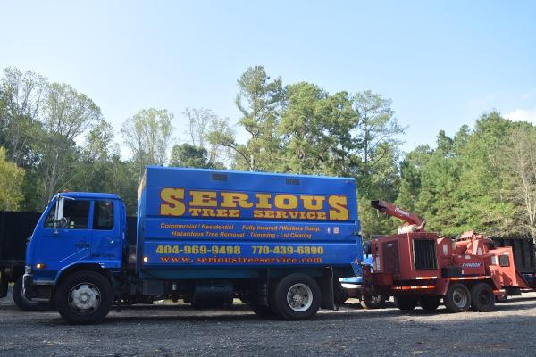 Serious Tree Services
