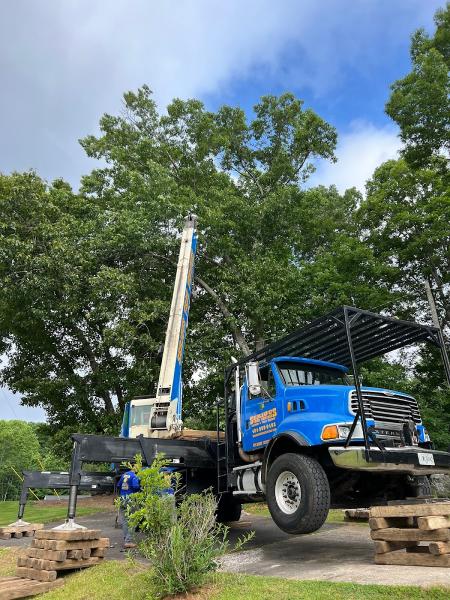 Serious Tree Services