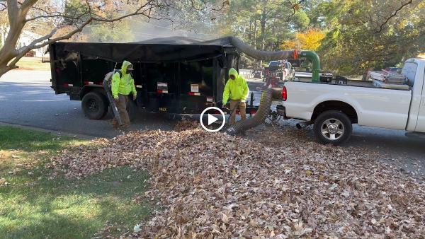 Trident Lawn Care