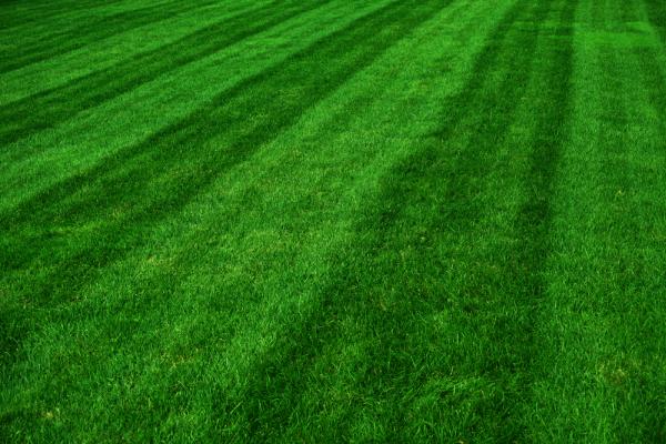 Realescapes Lawn Care