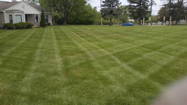 Realescapes Lawn Care