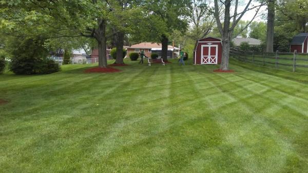 Realescapes Lawn Care