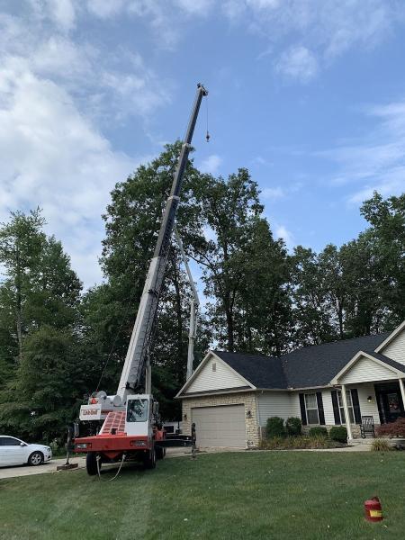 Native Tree Care LLC