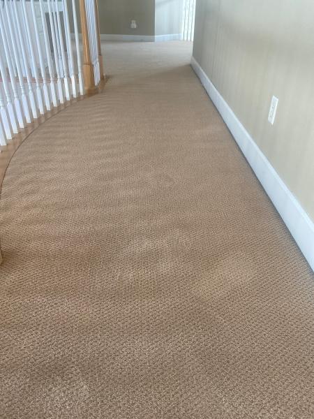 Midwestern Carpet & Air Duct Cleaning