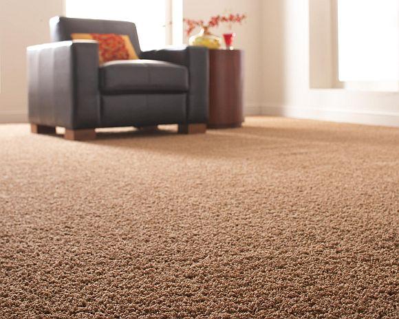 Safe-Dry Carpet Cleaning