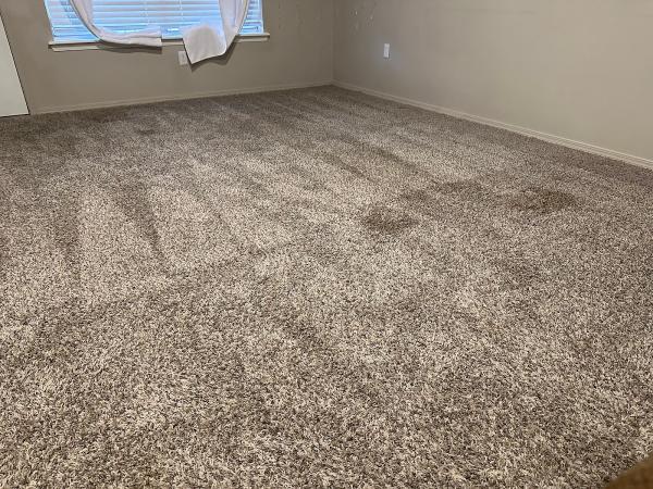 Safe-Dry Carpet Cleaning