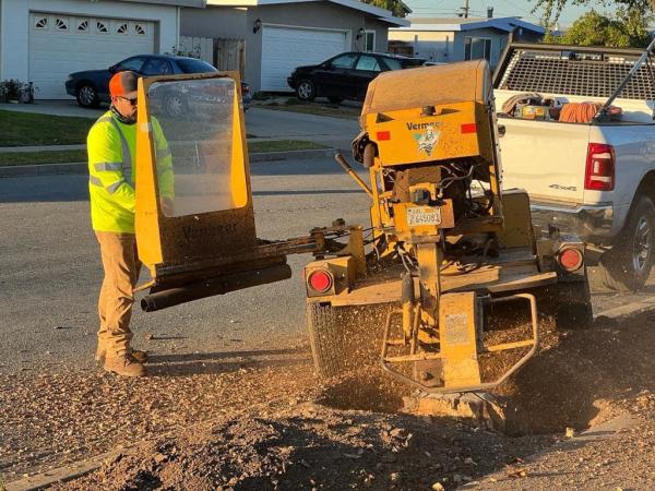 Proven Quality Tree Service