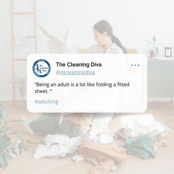 The Cleaning Diva