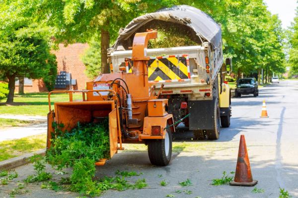 Woodchuck Chicopee Tree Service Pros