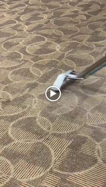Speedkleen Carpet Cleaning