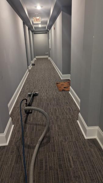 Speedkleen Carpet Cleaning