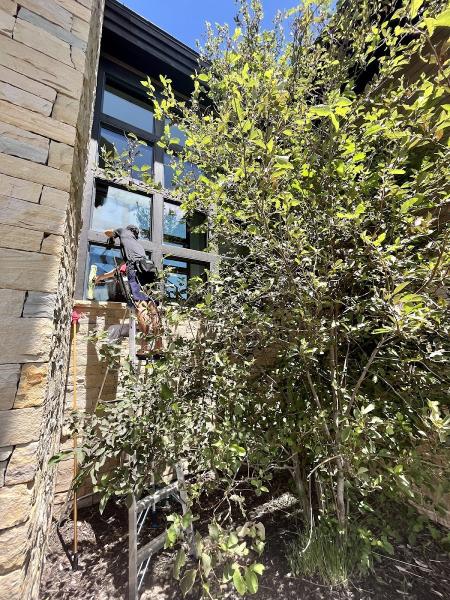 Greenview Window Cleaning
