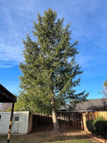 Preferred Expert Tree Service Inc