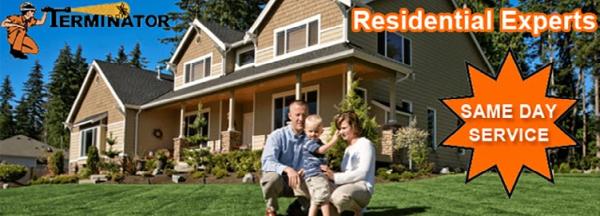Terminator Termite and Pest Management