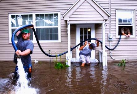 Allevi Water Damage