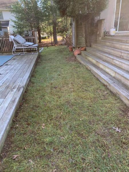 Eddy's Landscaping Maintenance