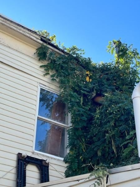 Qualified Home Inspections