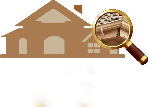 Premium Home Inspection LI