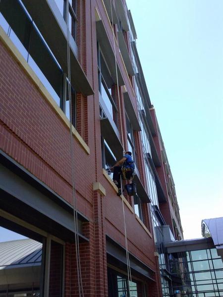 Collins Window Cleaning