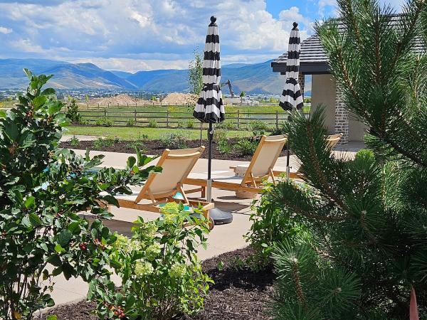 White Landscape Design