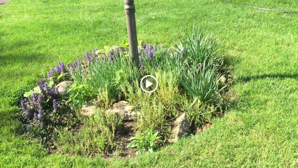 Xpress Irrigation
