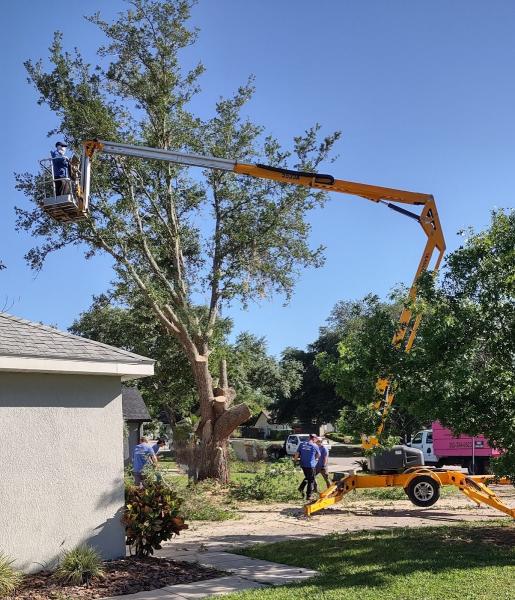 South Lake Tree Service
