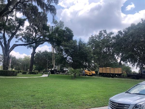 South Lake Tree Service