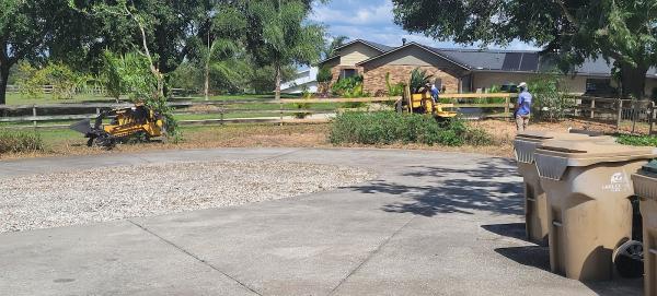 South Lake Tree Service