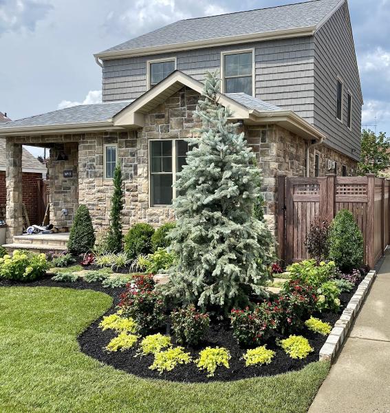 Anthony & Sons Landscapers