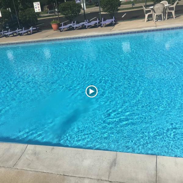 Water Watchers Pool Management