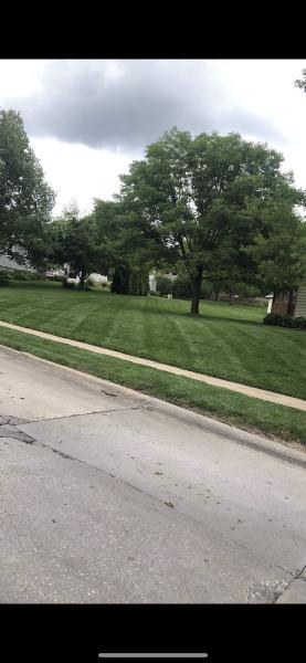 Critical Lawn Care LLC