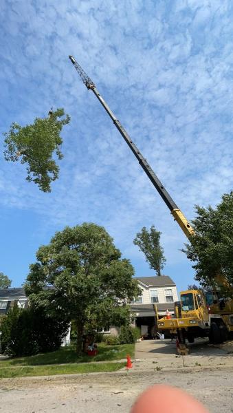 Go-Getter Tree Service